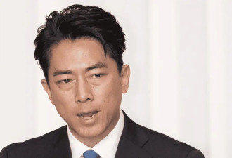小泉进次郎团队请"水军"自吹自擂被曝光,舆论炸锅