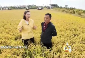 中国某电视台报道水稻亩产万斤！ 这是在2025年
