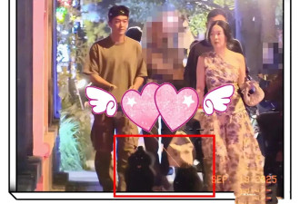 霍思燕夫妇和好友聚餐，穿单肩裙瘦出“小蛮腰”，牵三条狗真拉风