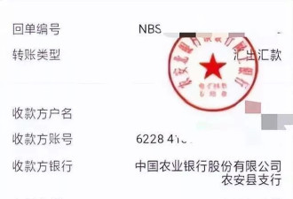 男子包地千亩种玉米疑遇假种子，损失百余万索赔遇难题