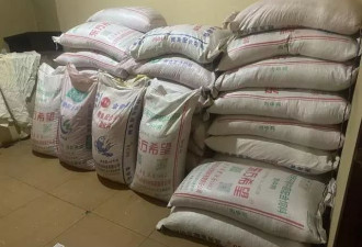 男子包地千亩种玉米疑遇假种子，损失百余万索赔遇难题