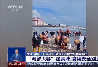 台风过后海滩上出现的“海鲜大礼”能吃吗?