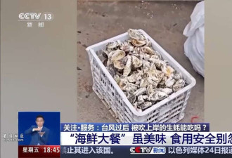 台风过后海滩上出现的“海鲜大礼”能吃吗?