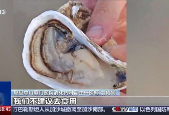 台风过后海滩上出现的“海鲜大礼”能吃吗?