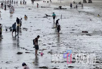 “桦加沙”过境后市民狂捡沿海特产，警方出无人机制止