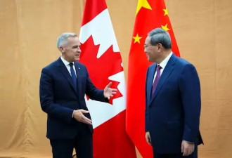 加中领导人会晤，贸易合作，油菜籽、电动车成焦点议题