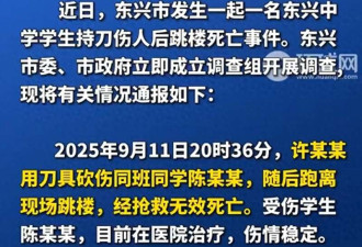 广西校园悲剧真相公布男生持刀伤人后跳楼