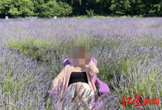 华裔金融才女在美被丈夫勒死，骨灰将被带回国