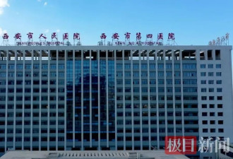 孕妇遭熊袭击装死保命：熊牙刺入右眼左耳 头部撕裂