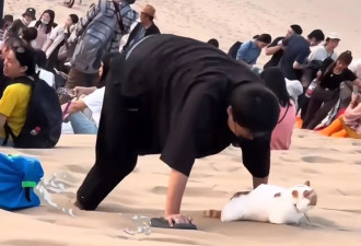 她四肢攀爬“用嘴叼爱猫” 爬上敦煌鸣沙山