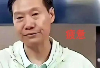 雷军演讲，被骂上热搜