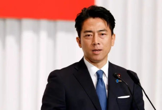 距离投票日还剩一周，小泉进次郎“翻车”了