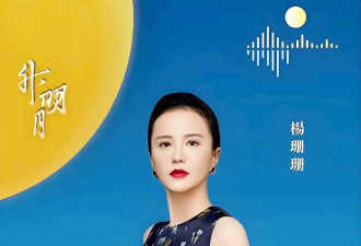 她是钢琴公主,王宏伟的妻子,与婆婆只拌过两次嘴