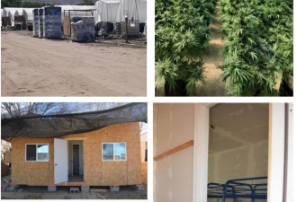 骗中国人投资 剥削华裔劳工 他后果惨了