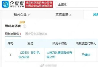 王健林被限制高消费，此前万达被强制执行超4亿元