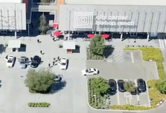 约25名抢匪闯入美国珠宝店，洗劫100万元珠宝