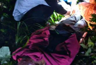 被熊袭击能装死吗？秋季“熊出没”如何避险