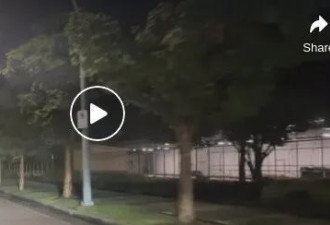 大温惊现“神级画面”：黑熊被郊狼组团围追争夺地盘