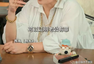 向太曝美女港星遭家暴内幕：男方酒后疯狂打老婆
