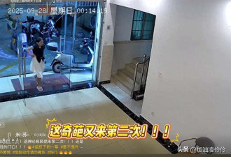 女子进店脱裤子就尿 商家:我服了 这是第2次了