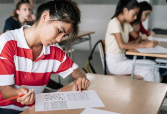 一位华裔数学家40年目睹之怪现状
