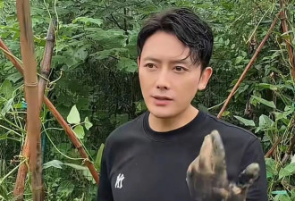 40岁徐海为曝退圈原因：拒包养、厌酒局，回村种地才真解脱