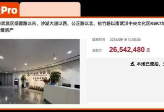 71岁王健林被限制高消费,巨大的连锁反应开始了
