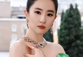 向太终于开口!坦白刘亦菲真实人品,巩俐当初真没说谎