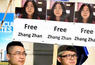 德语媒体：替世界坐牢的公民记者