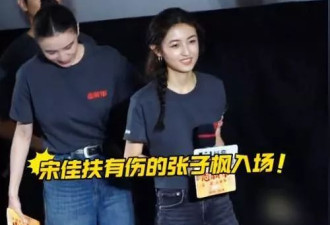 刺杀小说家首映礼：邓超脸泛油光，辛芷蕾好嫩