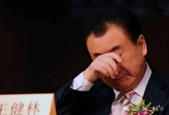 王健林的三次“致命”讲话 招来祸事