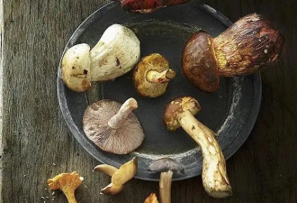 男人多吃蘑菇 降低男性前列腺癌风险
