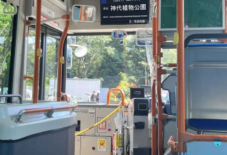 赴日旅行日记（二十三）神代植物园