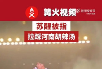 胡辣汤协会回应苏醒拉踩河南胡辣汤：最正宗的胡辣汤是河南的