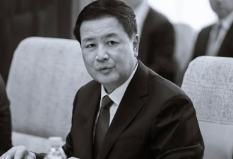 网曝王小洪喉癌二期 四中全会要换人