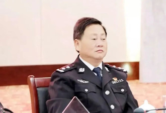 省公安厅警务保障部原主任辛卫平，被逮捕，曾...