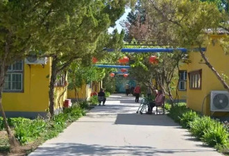 我68岁，看到邻居在养老院的状况，我默默地做了三个决定