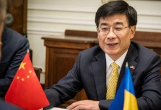 中国驻乌大使：充分理解乌克兰人民目前面临挑战