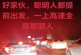“大聪明”国庆错峰出行 被更多“大聪明”堵路上