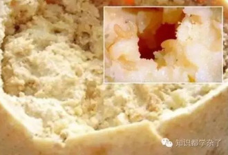十大世界最恶心食物排行，第十名直接看吐了