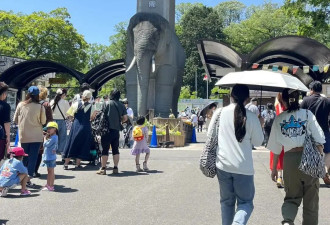 赴日旅行日记（二十四）多摩动物园