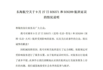 "飞机被截胡了…"100多人被赶下飞机滞留5小时...