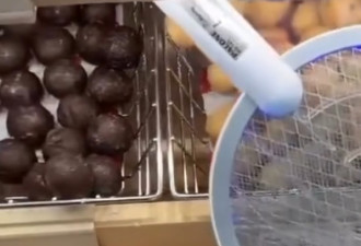 Tim Hortons爬满虫，电蚊拍伸进食品架