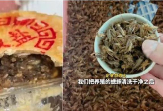 山东推“蟋蟀月饼” 试吃者直呼：没尝过亏大了