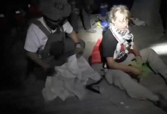 “环保少女”再闯加沙 以军登船拦截