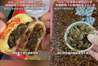 把11万吃下肚！中国推出“蟋蟀月饼”