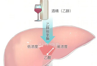 吃什么能快速醒酒？试试这1招