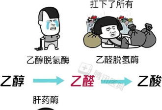 吃什么能快速醒酒？试试这1招
