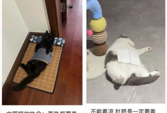 肚脐眼里的泥到底能不能抠啊？