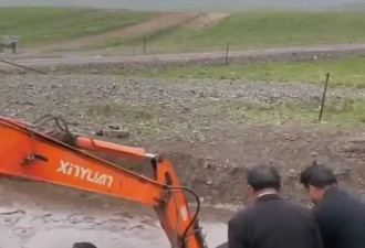 3名游客1辆挖掘机救出4头牦牛，帮牧民止损4万多元